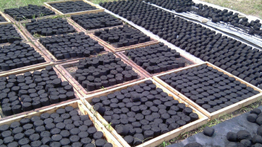 Tchad : des briquettes écologiques remplacent progressivement le charbon traditionnel