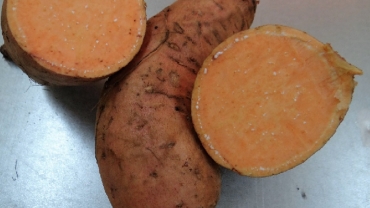 How a new sweet potato holds key to food sufficiency in Burkina Faso