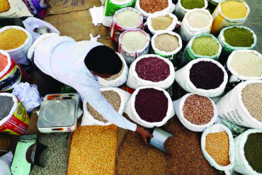 Stability Returns to Niger’s Cereal Markets Amid Gradual Price Decline