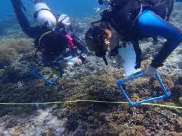 Philippines na Jagorantar Yawon Nutsewa Mai Kula da Muhalli