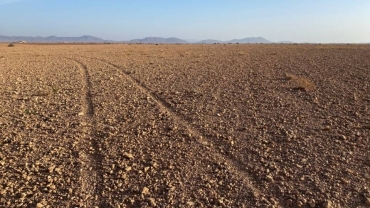 La sécheresse vide les barrages, la superficie irriguée du Maroc diminue