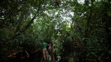 COP28: Congo Brazzaville gets $50m to save its forests