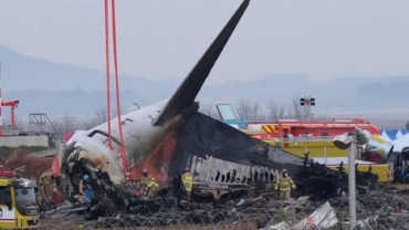 Possible bird strike? South Korea probes plane crash