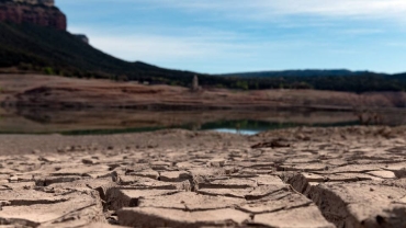 Millions in Southern Africa facing 'dire' food crisis