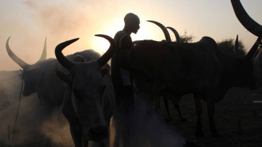 South Sudan herdsmen conflict leaves dozens dead