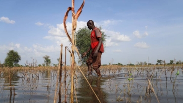 Hundreds of thousands left homeless by West Africa floods - charity