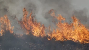 Morocco extinguishes forest fires in northern, central regions