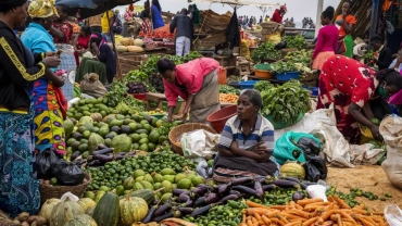The challenges and prospects of creating food-secure cities in Africa