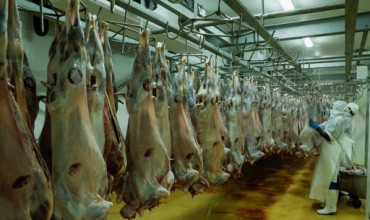 Middle East Conflict Severely Hits Kenya’s Meat Exports