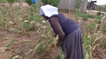 Millions in southern Africa facing worst food crisis in decades - UN