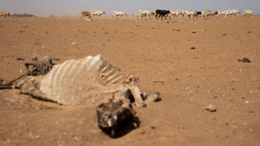 UN, Ethiopian government raise hunger alarm in restive regions