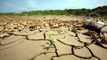 Africa looking to COP summit for higher climate financing