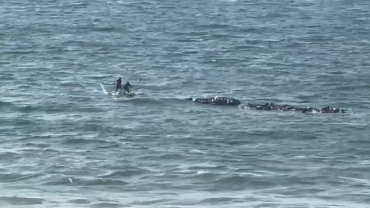 Live Updates: Egypt air drops humanitarian aid in central, northern Gaza