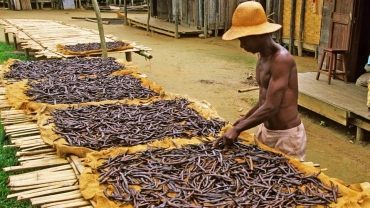 How Africa is quietly weathering the AGOA storm unleashed by the US