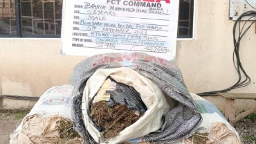NDLEA ta kama gawurtaccen mai safarar wiwi shekara bakwai bayan ya tsere daga gidan yari