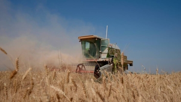 Algeria bars France from wheat import tender