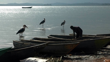 Several missing in Ethiopia after boat sinks on crocodile-infested lake