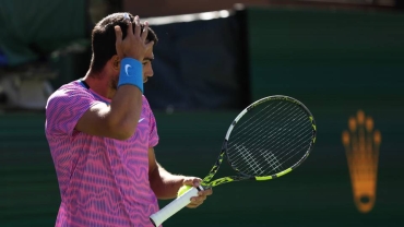 Tennis star Carlos Alcaraz flees court after bees disrupt game
