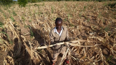 Zimbabwe declares drought a disaster as hunger grips millions