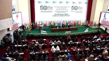 OIC must not forget its purpose, Türkiye tells Muslim peers