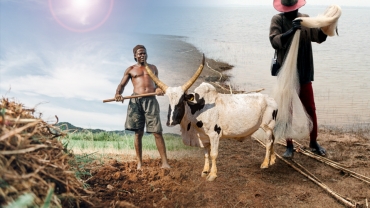 El Niño effect: How Africa's agro-pastoral sector is bearing the brunt