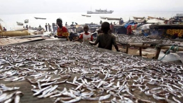 L'inquiétude des riverains face à la détérioration du lac Tanganyika