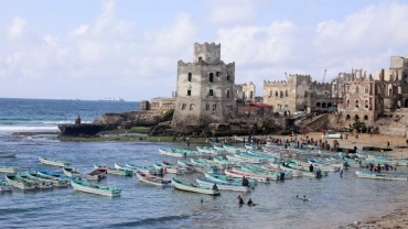 Scores of dolphins found dead on Somali beach