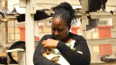 Kenyan 'cat woman' sheltering stray cats