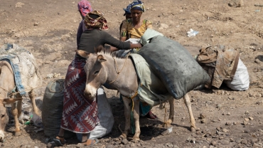 Donkeys: How a community lifeline is under threat in Tanzania