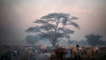 Fresh killings in disputed Abyei region