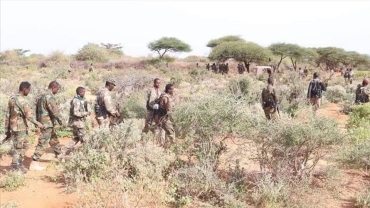 Somalie : 130 terroristes d'al-Shabab tués lors d'opérations militaires dans le centre et le sud du pays