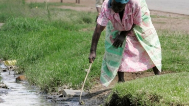 Zimbabwe cholera outbreak: 'The tap water is green, so we don't drink it'