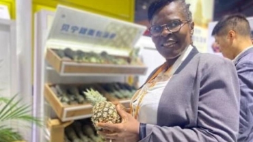 L’ananas béninois à la conquête du marché international