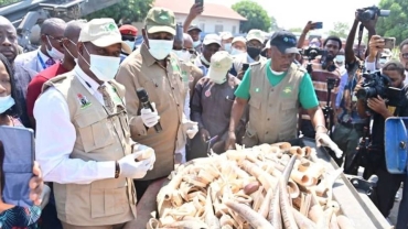 Gwamnatin Nijeriya ta lalata hauren giwa na kusan N10bn