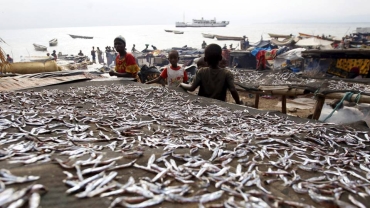 Neighbours' alarm over deteriorating Lake Tanganyika